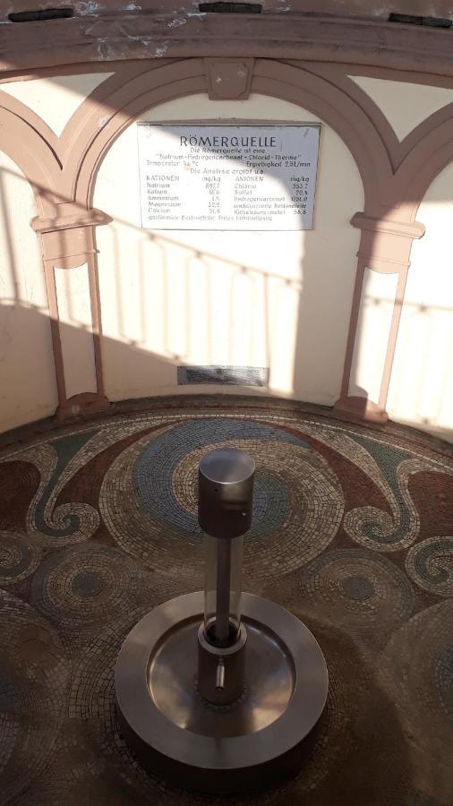 Gemuetliches Apartment Am Kurpark In Bad Ems Dış mekan fotoğraf